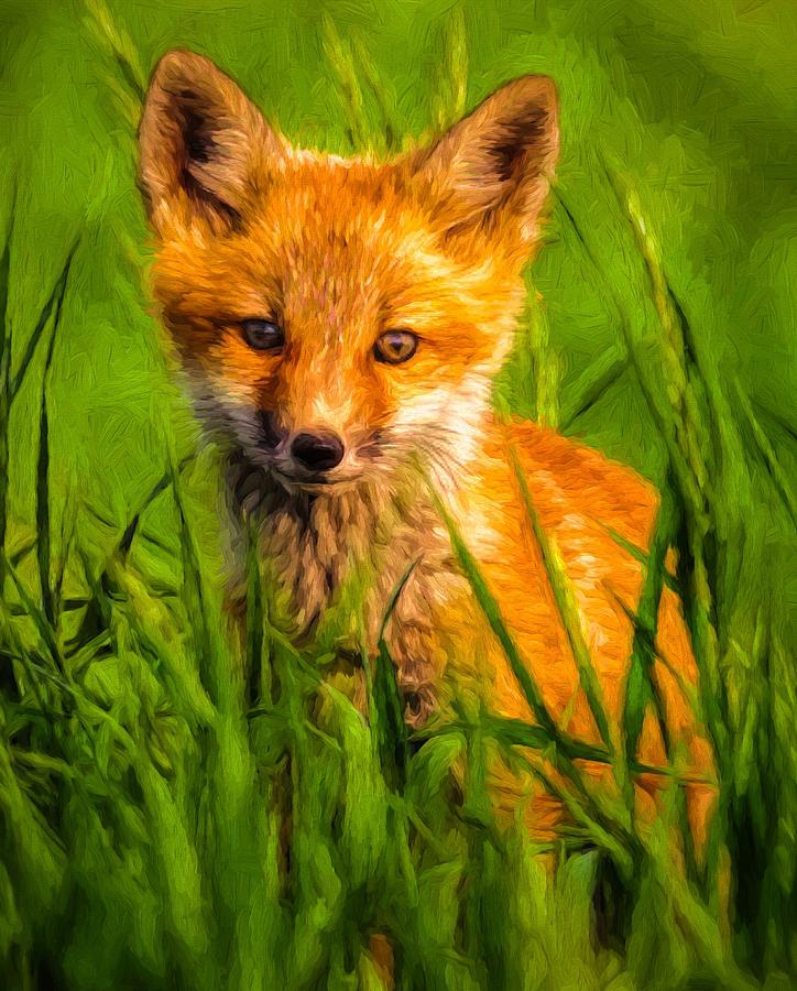 Impressionism Digital Art - Baby Fox by Kaylee Mason