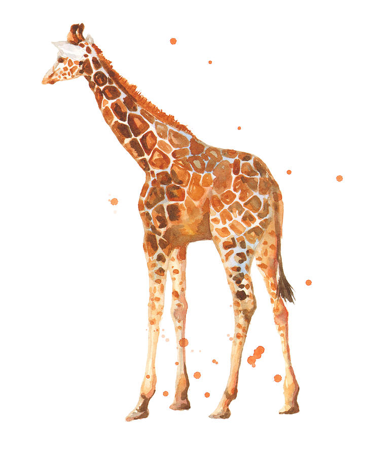 Giraffe Painting - Baby Giraffe by Alison Fennell