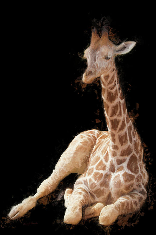 Baby Giraffe DA Digital Art by Ernest Echols