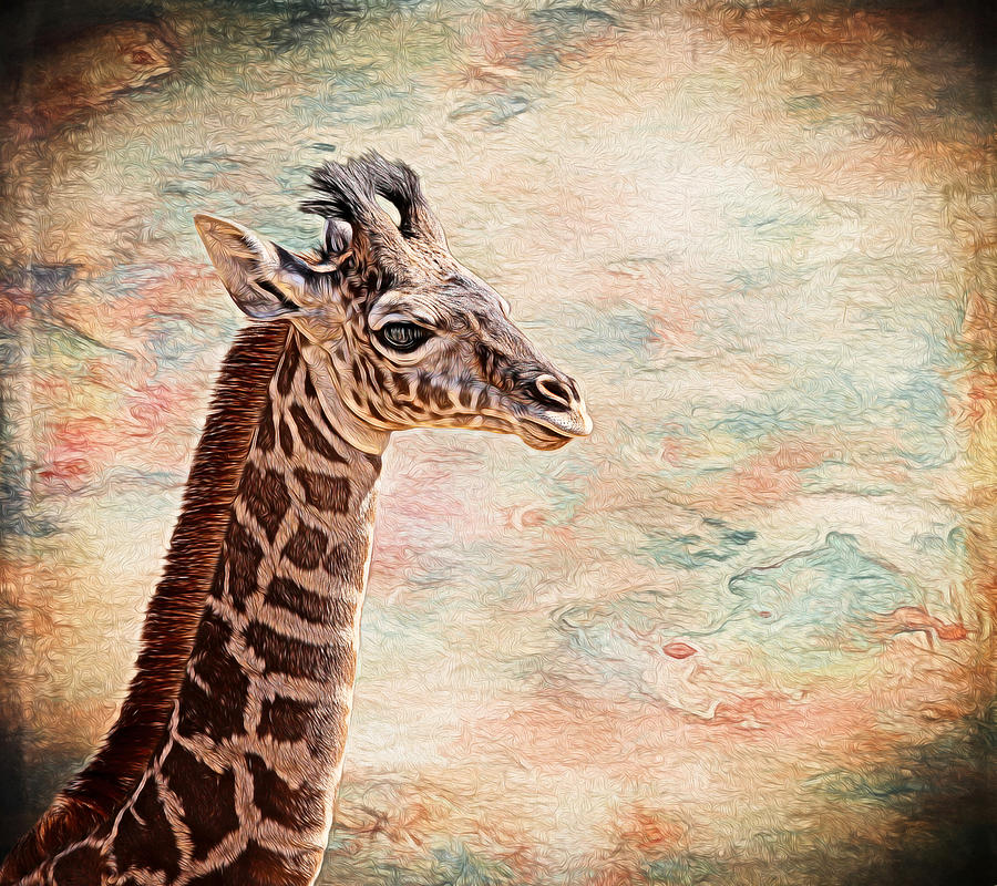 Giraffe Digital Art - Baby Giraffe Painted by Judy Vincent