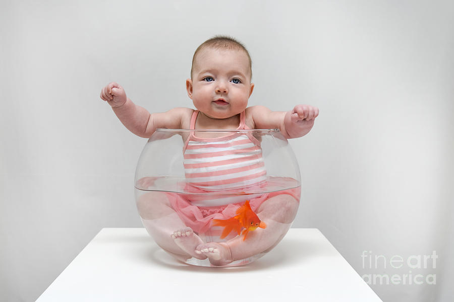 Baby Goldfish Photograph by Baywest Imaging