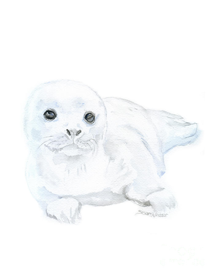 Baby Harp Seal Painting by Susan Windsor - Pixels