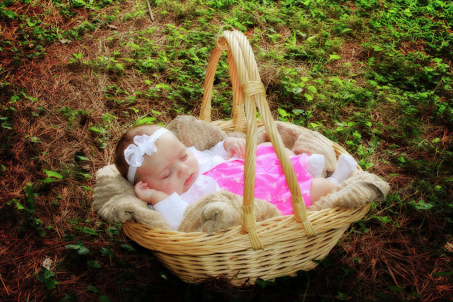 Baby in a Basket Photograph by Trina Ansel