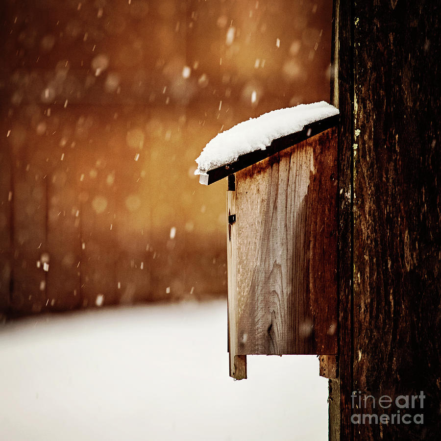 Winter Photograph - Baby Its Cold Outside by Scott Pellegrin
