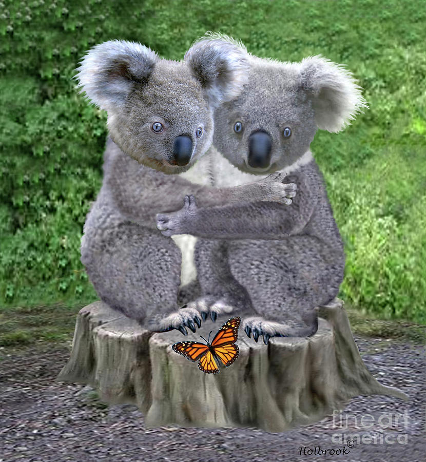 Cute Digital Art - Baby Koala Huggies by Glenn Holbrook