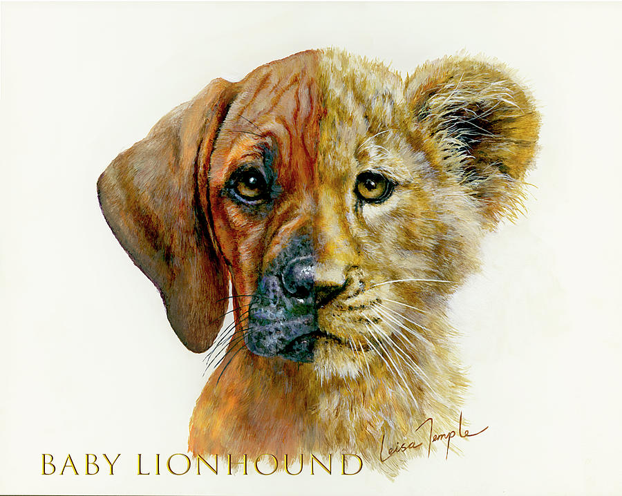 Rhodesian Ridgeback Digital Art - Baby LionHound w Title by Leisa Temple