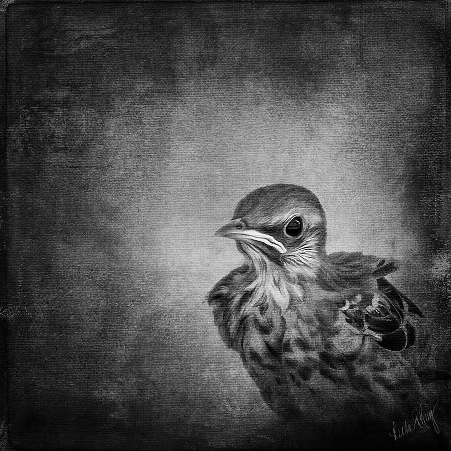 Black And White Painting - Baby Mockingbird 6776 by Linda King