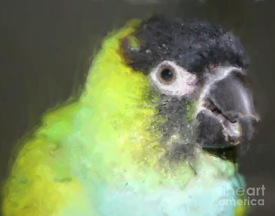 Baby Nanday Conure Painting by Smilin Eyes Treasures