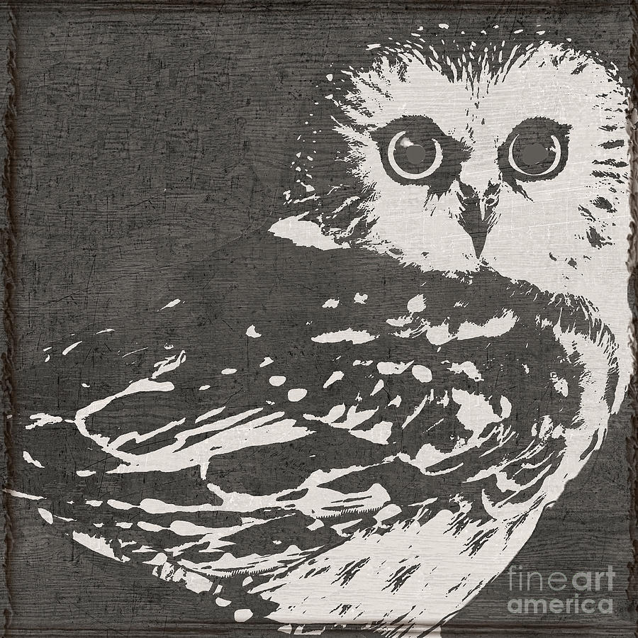 Baby Owl Painting by Mindy Sommers