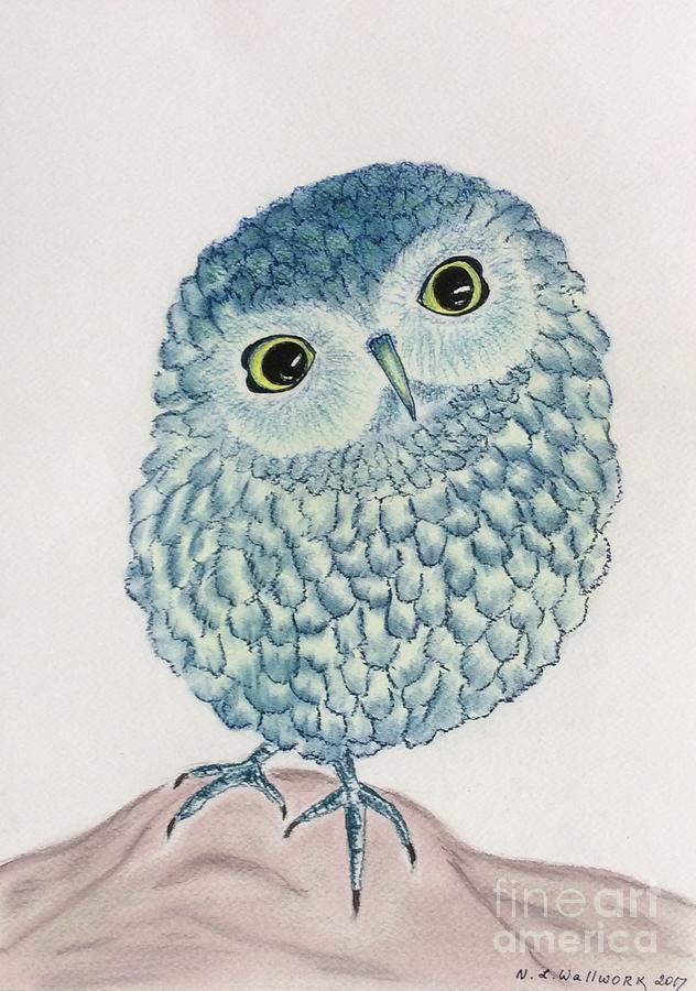 Baby owl Pastel by Natalia Wallwork