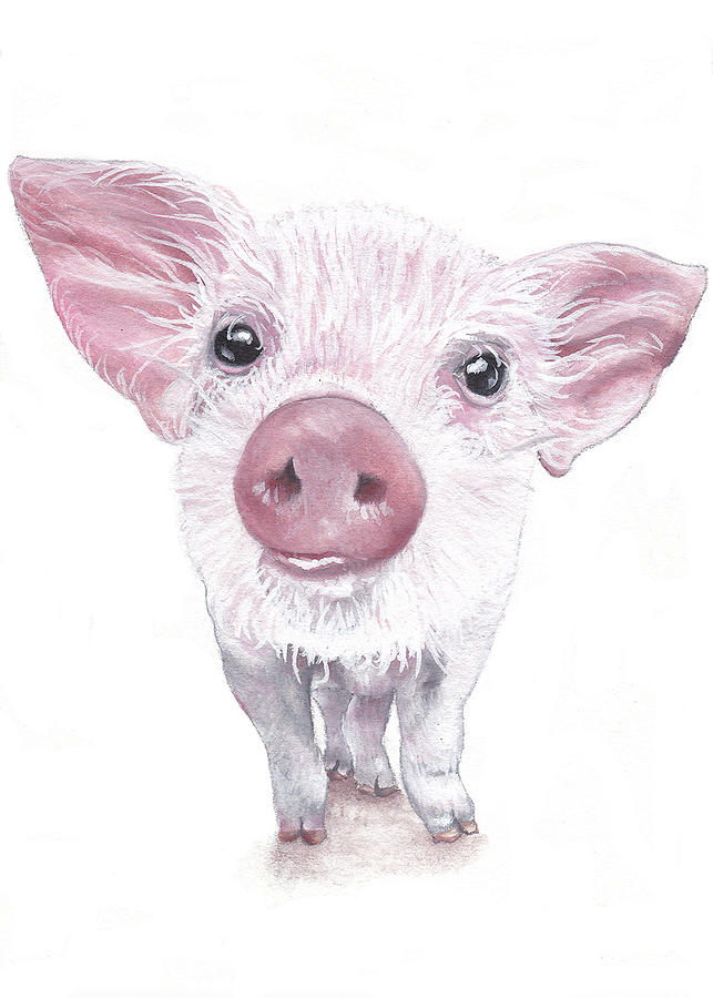 Pig Painting - Baby Pig by Katherine Klimitas