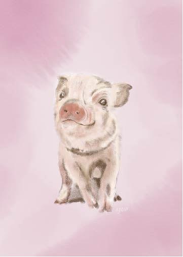 Baby Pig Digital Art - Baby Piggy by Erin Salazar