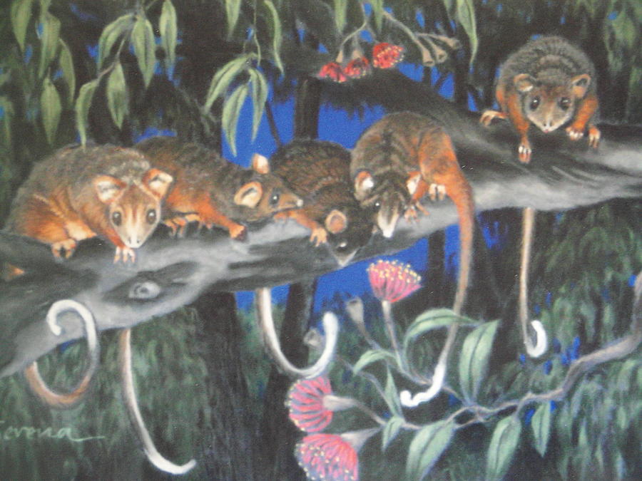 Baby Possums Painting By Serena Valerie Dolinska