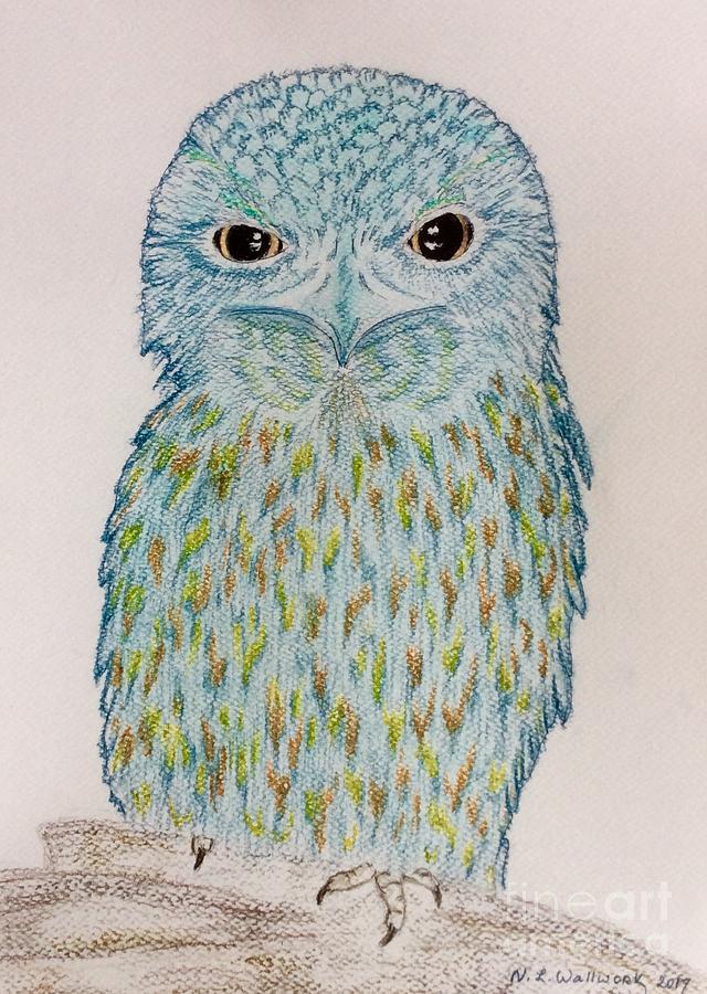 Baby Potoo Owl  Pastel by Natalia Wallwork