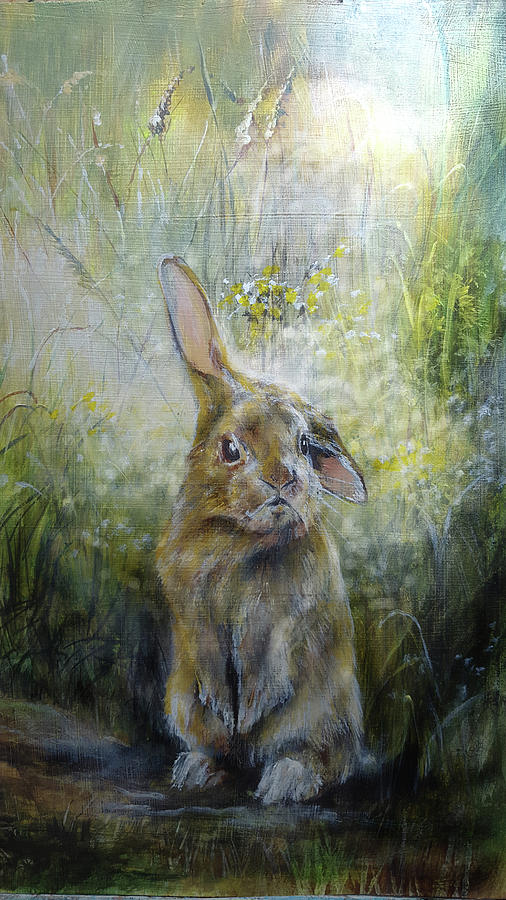 Baby Rabbit by Penny Golledge Baby Rabbit by Penny Golledge