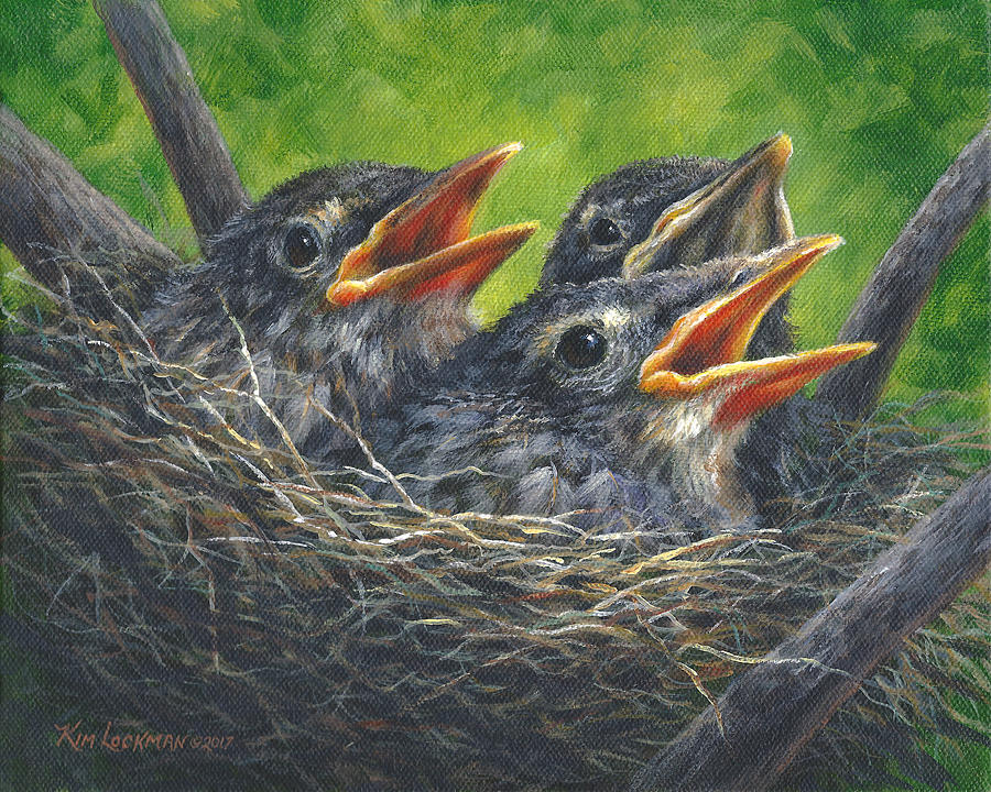 Baby Robins Painting by Kim Lockman