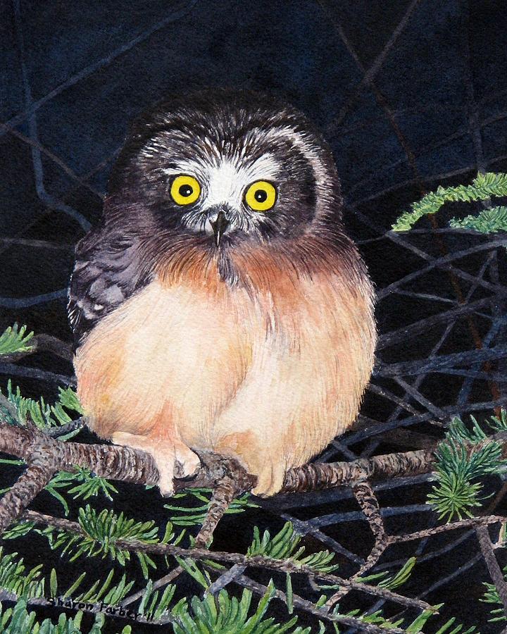 Owl Painting - Baby Saw Whet Owl by Sharon Farber