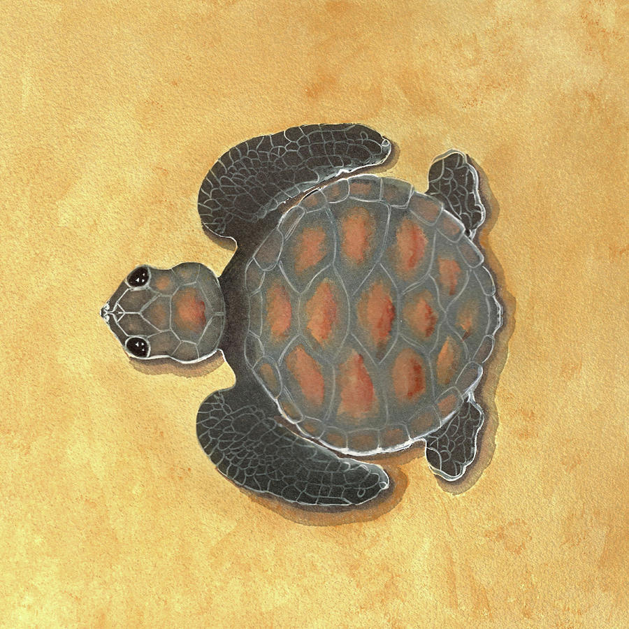 Baby SeaTurtle  Painting by DiDesigns Graphics
