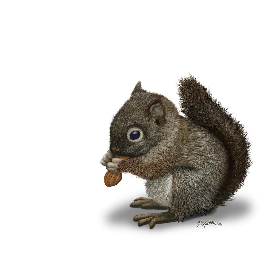 Baby Squirrel  Digital Art by Kathie Miller