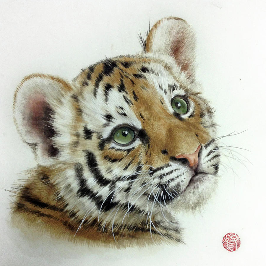 How To Draw a Tiger using Pastel Pencils — The Colin Bradley School of Art