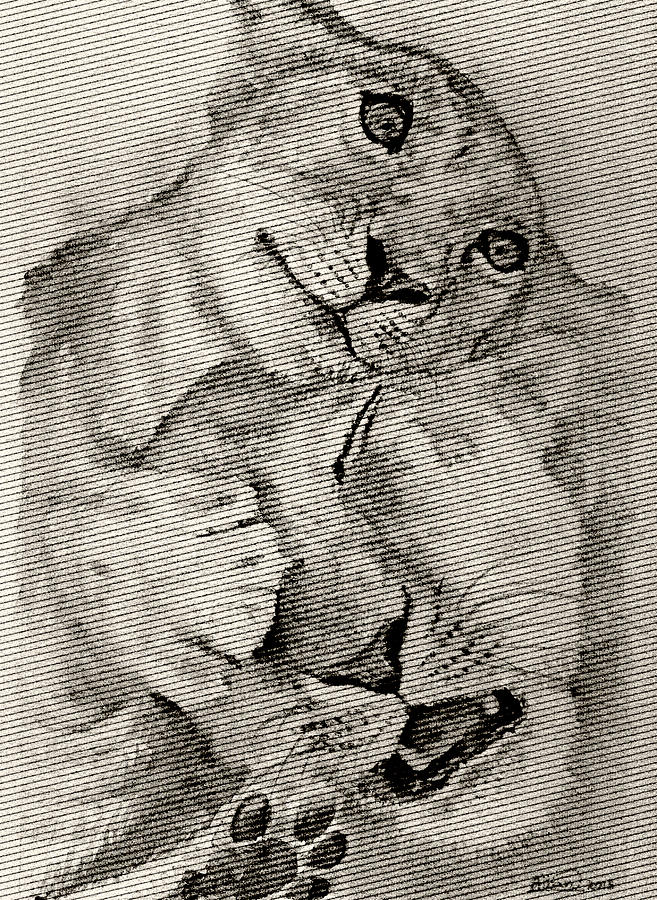 Baby Tiger with his mother Painting by Alban Dizdari