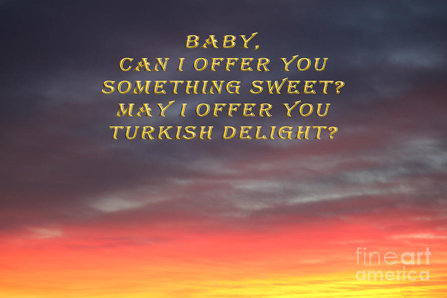 Baby Turkish Delight Photograph by Donna L Munro