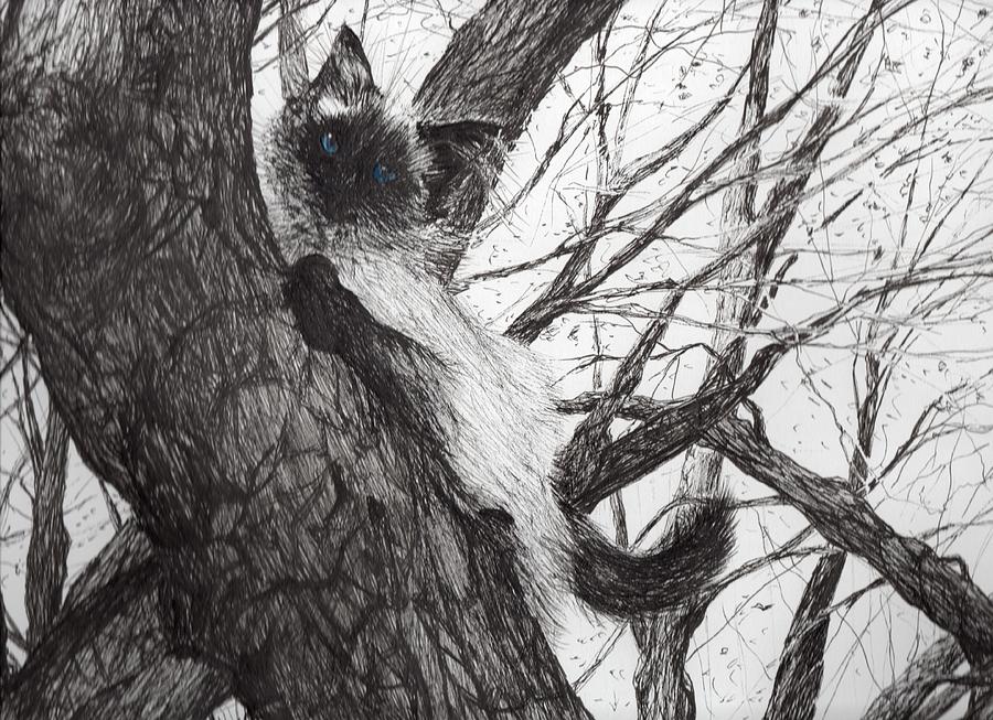 Cat Drawing - Baby up the apple tree by Vincent Alexander Booth