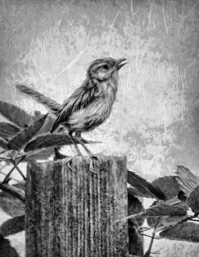 Baby Wren in Black and White Mixed Media by Bonnie Willis