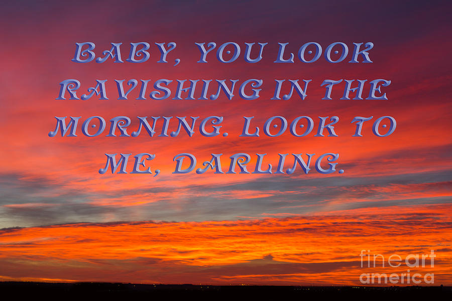 Baby You Look Ravishing Photograph by Donna L Munro
