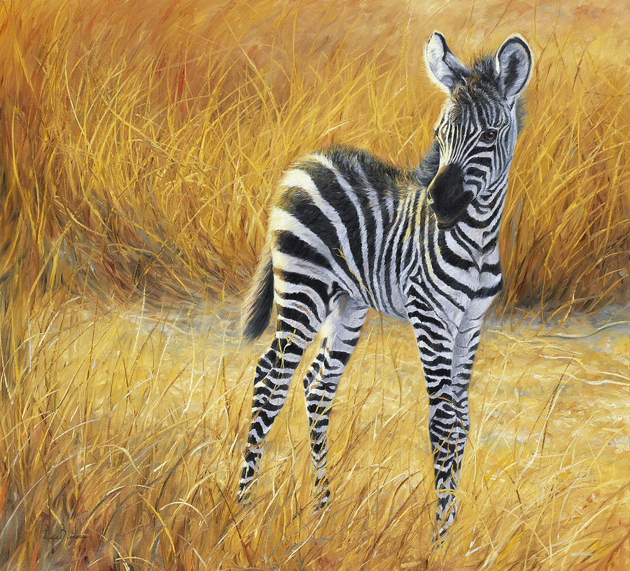 Zebra Painting - Baby Zebra by Lucie Bilodeau