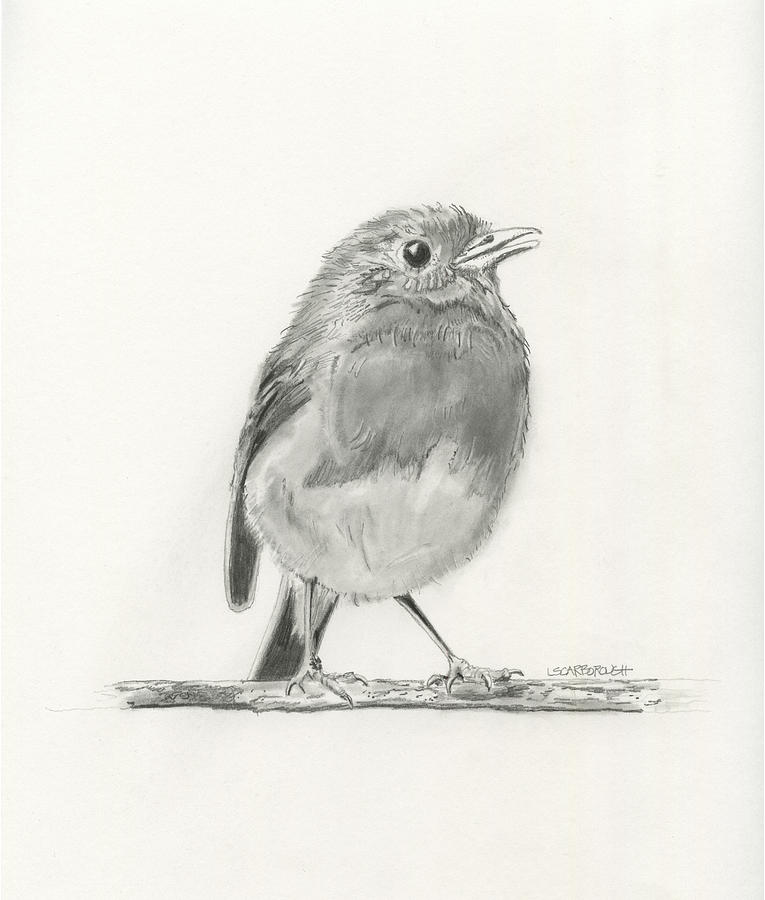 Babybird 2 Drawing
