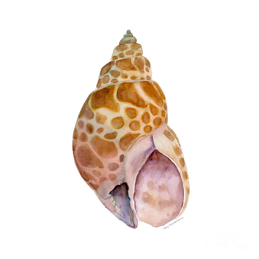 Babylon Japonica Shell Painting