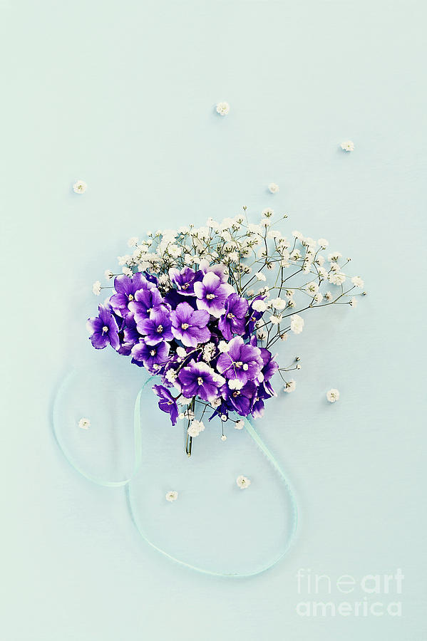 Babys Breath and Violets Bouquet Photograph by Stephanie Frey