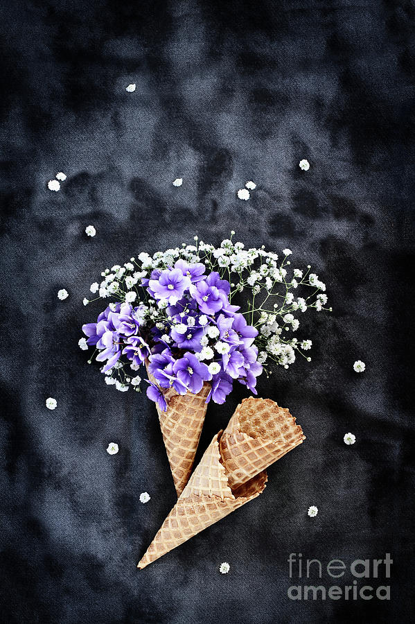 Babys Breath and Violets Ice Cream Cones Photograph by Stephanie Frey