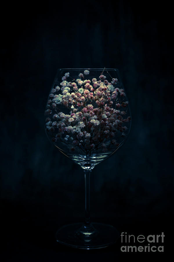 Babys Breath in A Wine Glass Photograph by Masako Metz