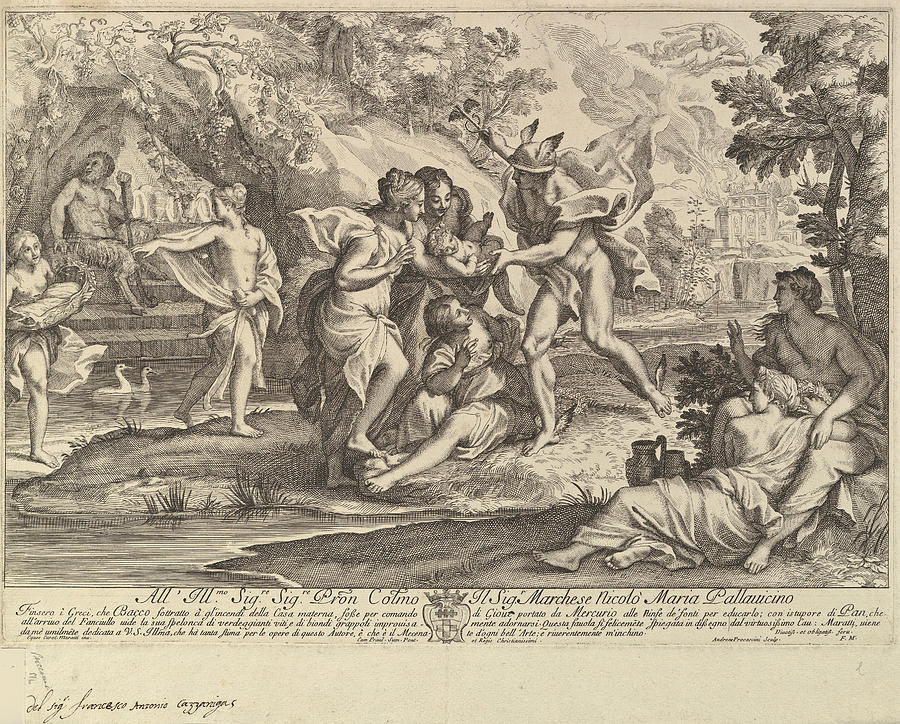 Bacchus as a child given by Mercury to the care of the Nymphs Drawing by Andrea Procaccini