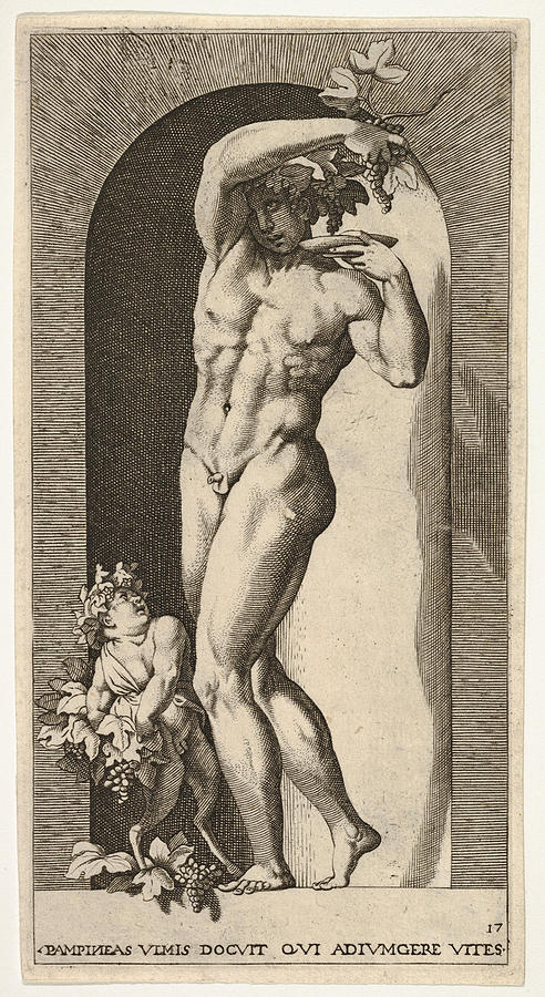 Bacchus  Drawing by Giovanni Jacopo Caraglio