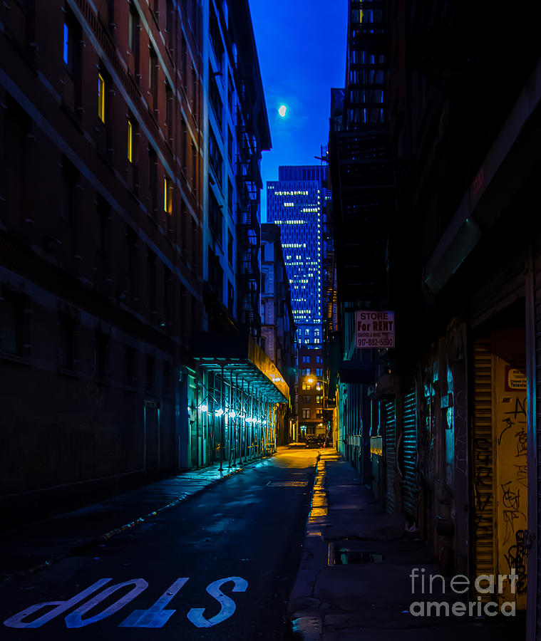 Back Alley Beauty Photograph by James Aiken