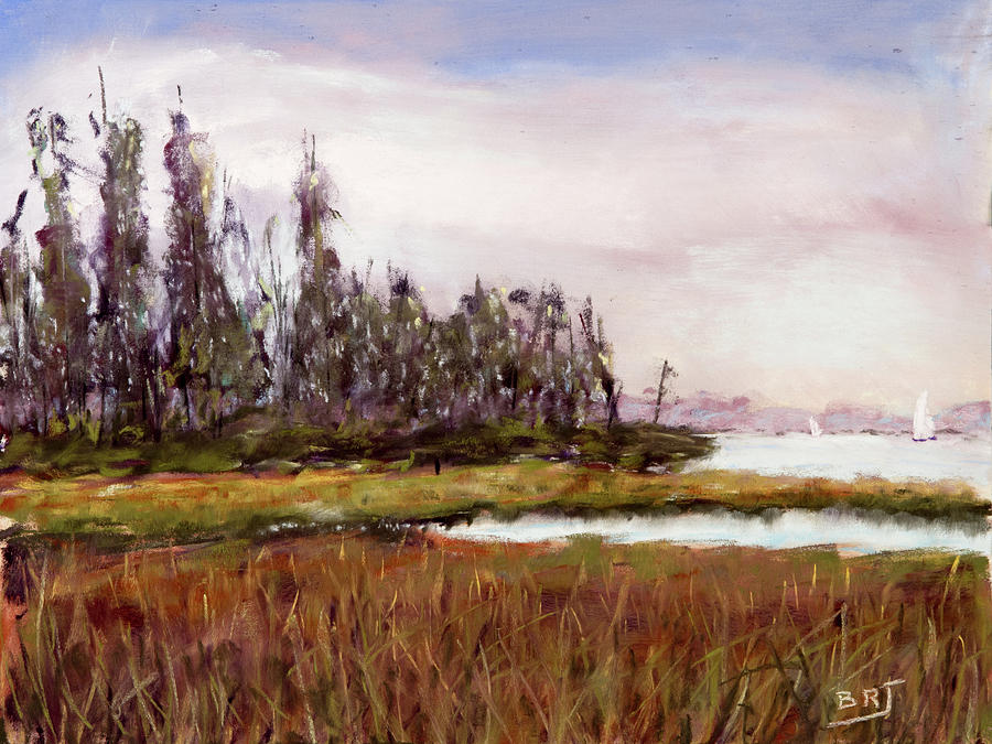 Back-Bay Marsh Painting by Barry Jones