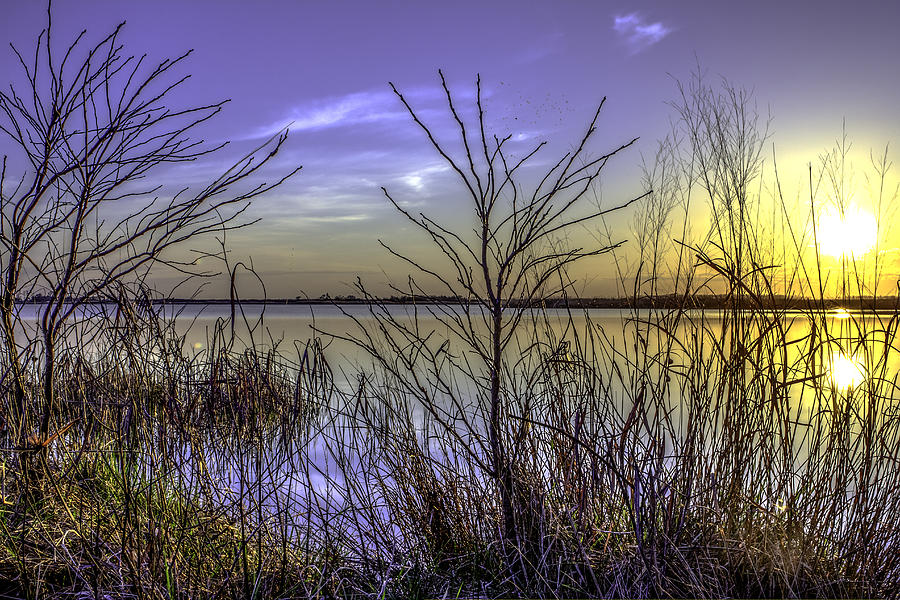 Sunset Photograph - Back Bay Sunset II by Pete Federico