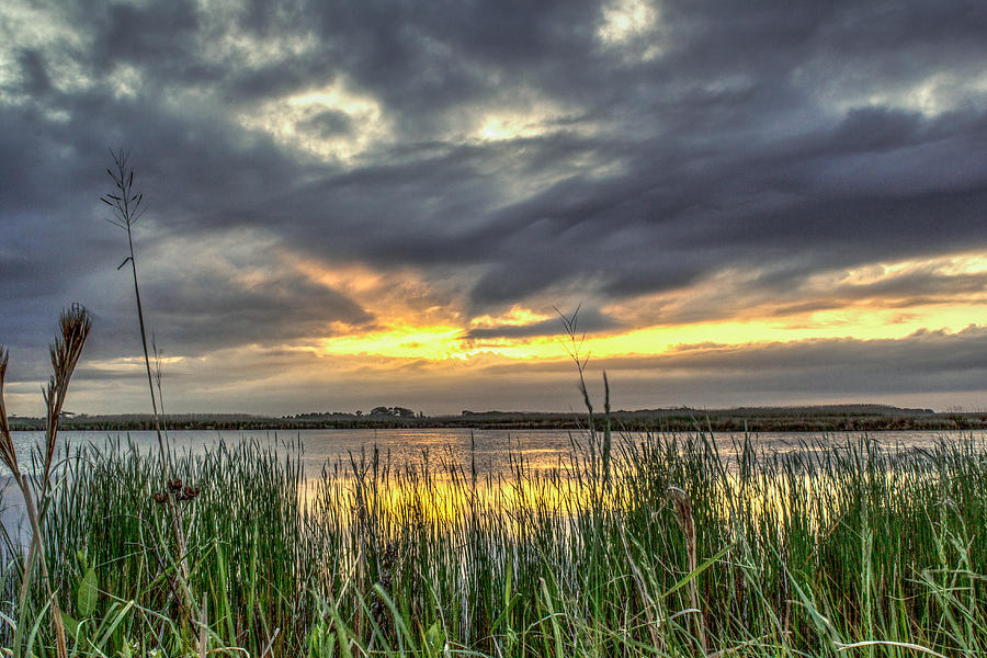 Sunset Photograph - Back Bay Sunset VII by Pete Federico