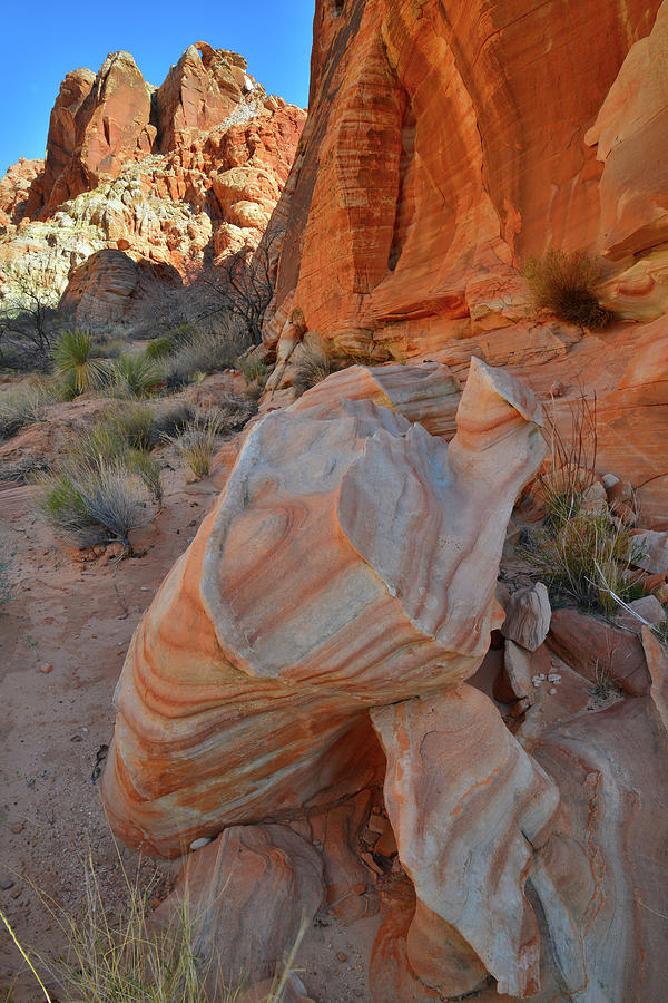 Back Country Color In Valley Of Fire Photograph