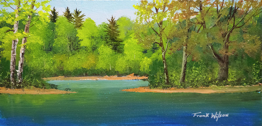 Back Country Pond Painting by Frank Wilson