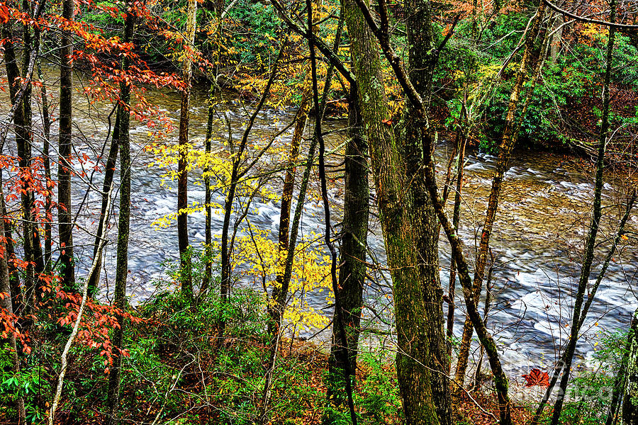 Back Fork of Elk River Autumn Photograph by Thomas R Fletcher