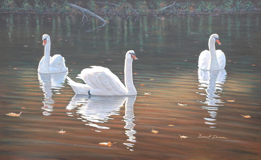 Back Lit Swans Painting by Bruce Dumas