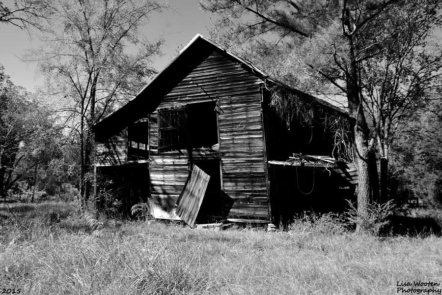 Back On The Farm Black and White Photograph by Lisa Wooten