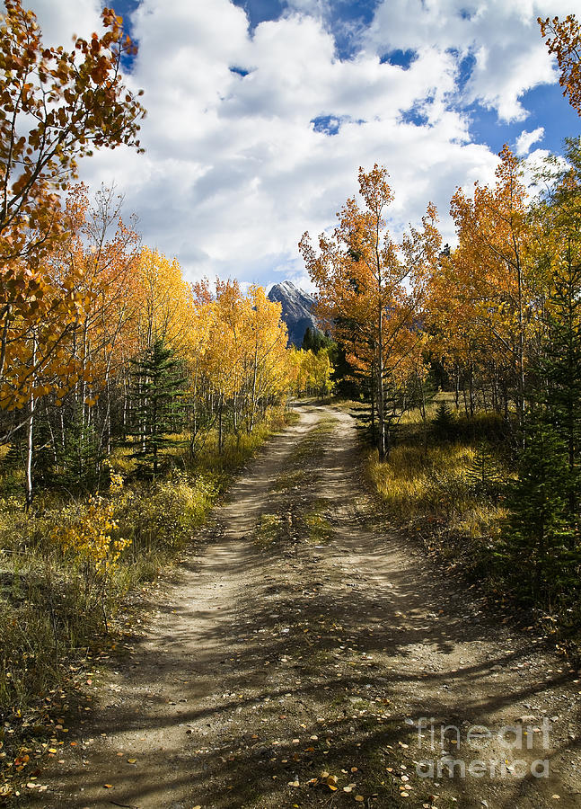Back Road Into Fall Photograph by Royce Howland