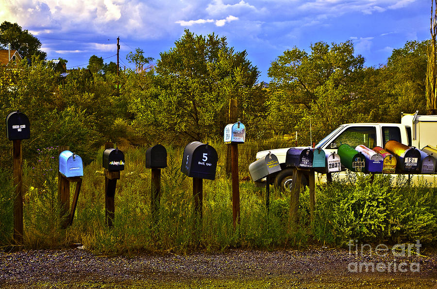 Tree Photograph - Back Road Mailboxes by Madeline Ellis