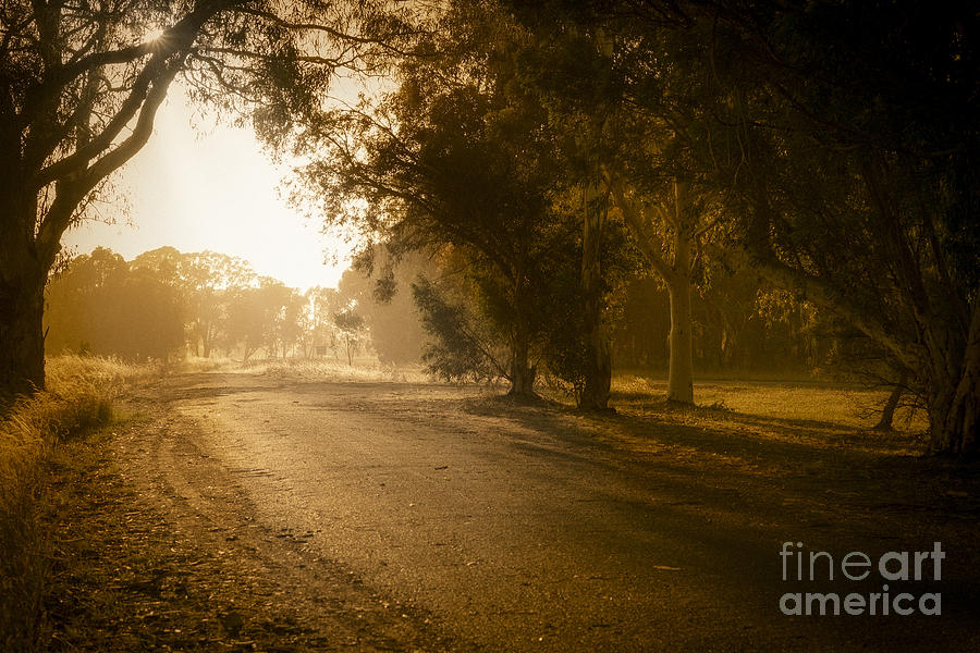 Back Road Morning by Ray Warren Back Road Morning by Ray Warren