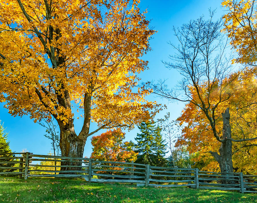 Back Road Rambling 2 Photograph by Steve Harrington | Fine Art America